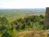 Auf dem Höhenweg zur Madenburg