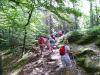 Felsenwald-Tour, 27. Juni 2021