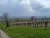 Hohe Loog, Neustadt
16.04.2023
