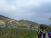 Hohe Loog, Neustadt
16.04.2023