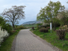 Hohe Loog, Neustadt
16.04.2023