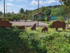 Paradiesgartenweg Hornbach, 
13. Mai 2023