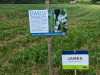 Paradiesgartenweg Hornbach, 
13. Mai 2023