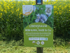 Paradiesgartenweg Hornbach, 
13. Mai 2023