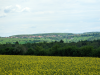 Paradiesgartenweg Hornbach, 
13. Mai 2023