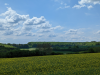 Paradiesgartenweg Hornbach, 
13. Mai 2023