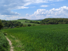 Paradiesgartenweg Hornbach, 
13. Mai 2023