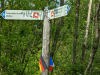 Paradiesgartenweg Hornbach, 
13. Mai 2023