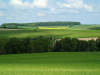 Paradiesgartenweg Hornbach, 
13. Mai 2023