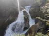 Jahresausflug nach Bramberg im Salzburger Land
21. - 25. August 2023