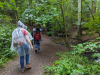 Karlstalschlucht Trippstadt 
23. Juli 2023
