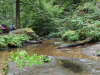 Karlstalschlucht Trippstadt 
23. Juli 2023