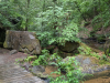 Karlstalschlucht Trippstadt 
23. Juli 2023