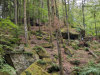 Karlstalschlucht Trippstadt 
23. Juli 2023