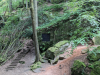 Karlstalschlucht Trippstadt 
23. Juli 2023