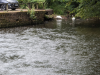 Karlstalschlucht Trippstadt 
23. Juli 2023