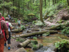 Karlstalschlucht Trippstadt 
23. Juli 2023