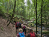 Karlstalschlucht Trippstadt 
23. Juli 2023