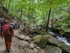 Karlstalschlucht Trippstadt 
23. Juli 2023