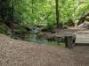 Karlstalschlucht Trippstadt 
23. Juli 2023
