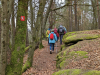 Lemberger Rothenberg-Weg, 
19. März 2023