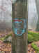 Leistadt - Sieben-Waldwunder-Weg,
10. November 2024