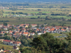 Rhodt, rundum Edenkoben,
13. Oktober 2024