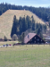 Wanderung mit Übernachtung, Hochmoor Kaltenbronn,
12. April 2025