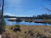 Wanderung mit Übernachtung, Hochmoor Kaltenbronn,
12. April 2025