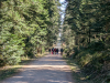 Wanderung mit Übernachtung, Hochmoor Kaltenbronn,
12. April 2025