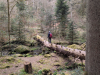 Wanderung mit Übernachtung, Monbachtal Bad Liebenzell
13. April 2025