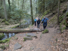 Wanderung mit Übernachtung, Monbachtal Bad Liebenzell
13. April 2025