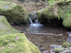 Wanderung mit Übernachtung, Monbachtal Bad Liebenzell
13. April 2025