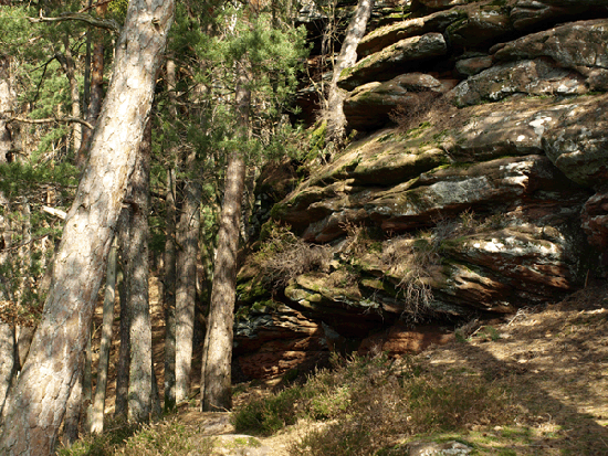 Rund um Busenberg