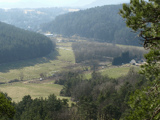 Rund um Busenberg