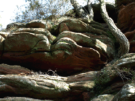 Rund um Busenberg