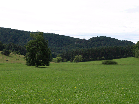 Rund um Busenberg